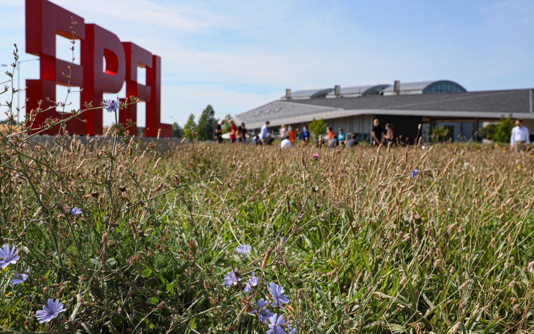 EPFL Diverses réalisations et travaux d’entretien